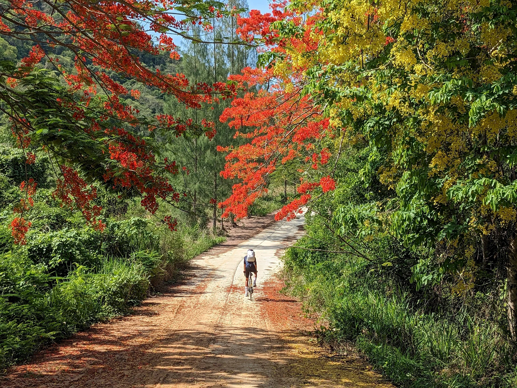 Cycling Phuket to Malaysia Tour 14 Days